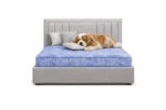Miami Luxury Pet Divan Bed with Matching Headboard