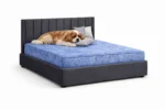 Premium Montgomery Luxury Pet Divan Bed with Headboard - Image 2