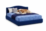 Signature Classic Luxury Pet Divan Bed with Headboard - Image 2