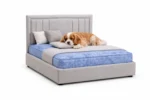 Miami Luxury Pet Divan Bed with Matching Headboard - Image 2