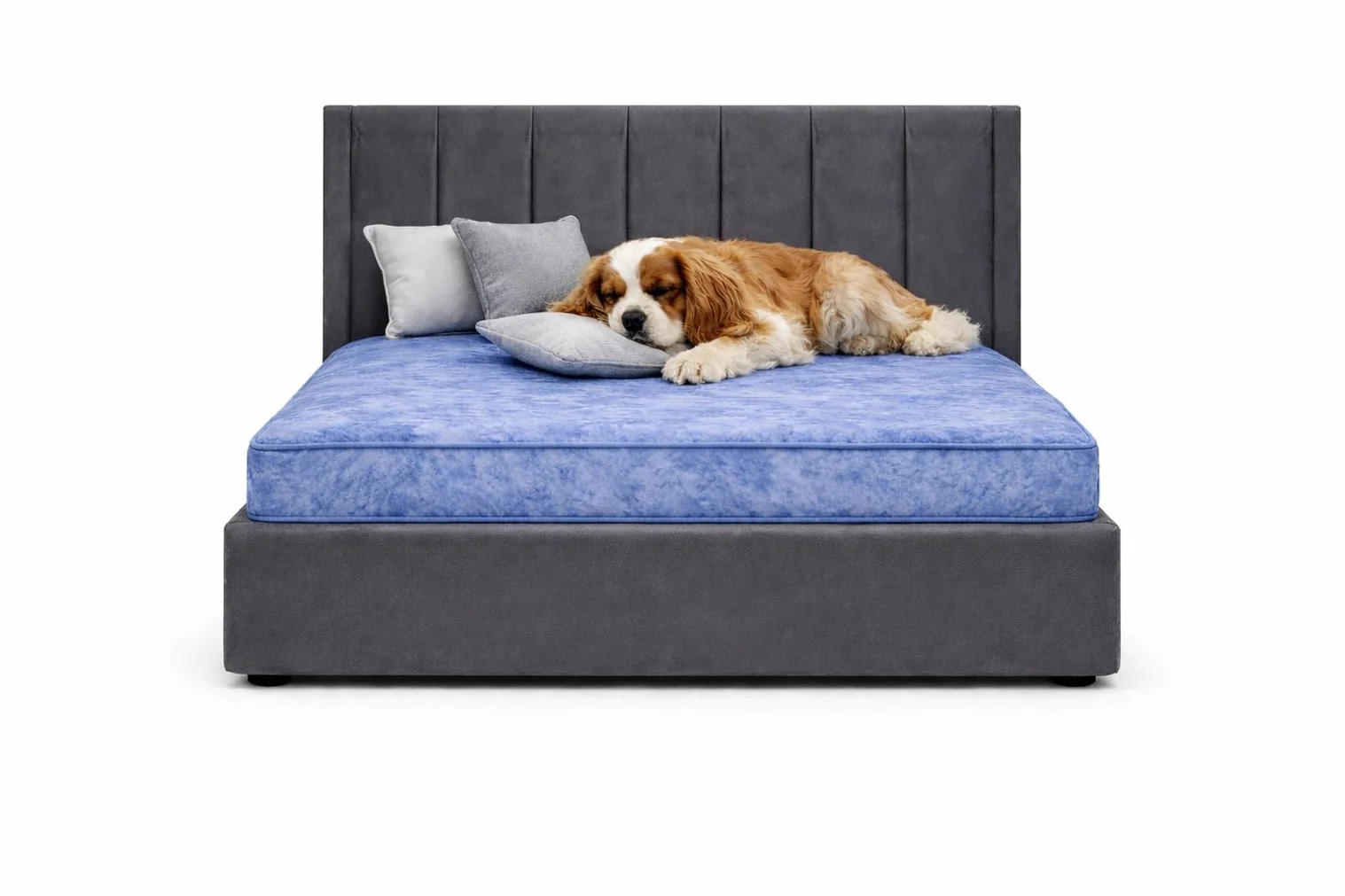 pet_beds_montgomery2 Premium Montgomery Luxury Pet Divan Bed with Headboard - Image 1