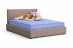 Signature Plain Luxury Pet Divan Bed with Headboard - Image 2